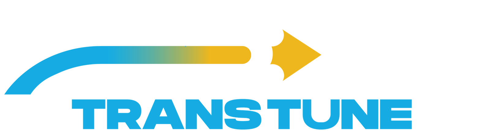 Arrow Transtune Inc